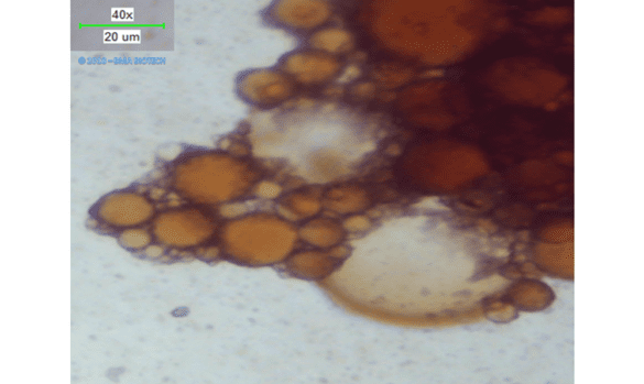 Micrograph showing how SWS encapsulates crude oil petrochemicals
E&P wastewater - produced water