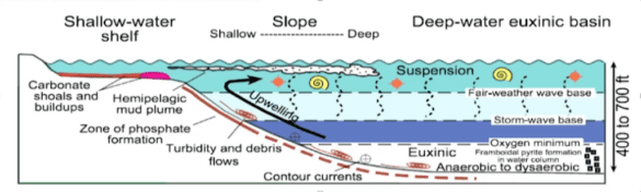 Figure 6: Organic matter deposit scheme in basins. Source: Loucks and Rupple 2007