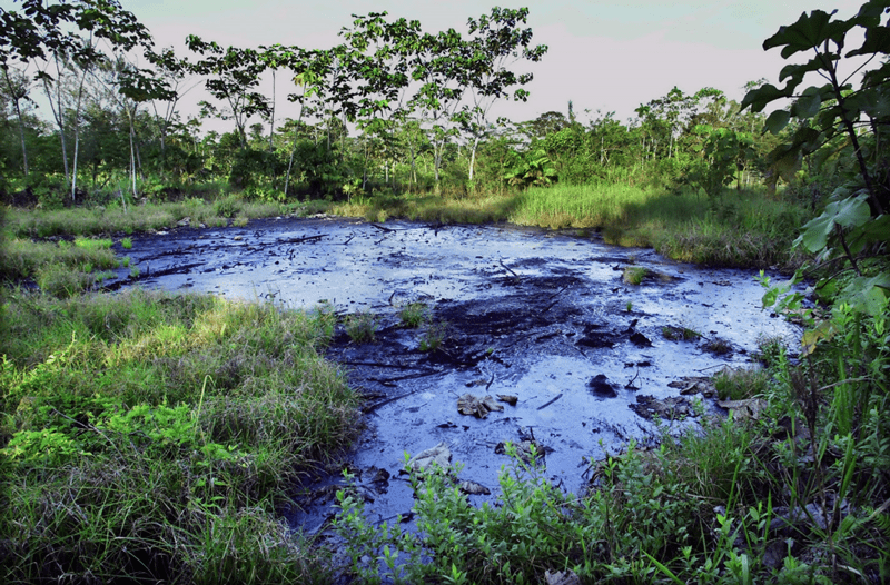 Lago Agrio condition – Source: Environmental Justice Atlas