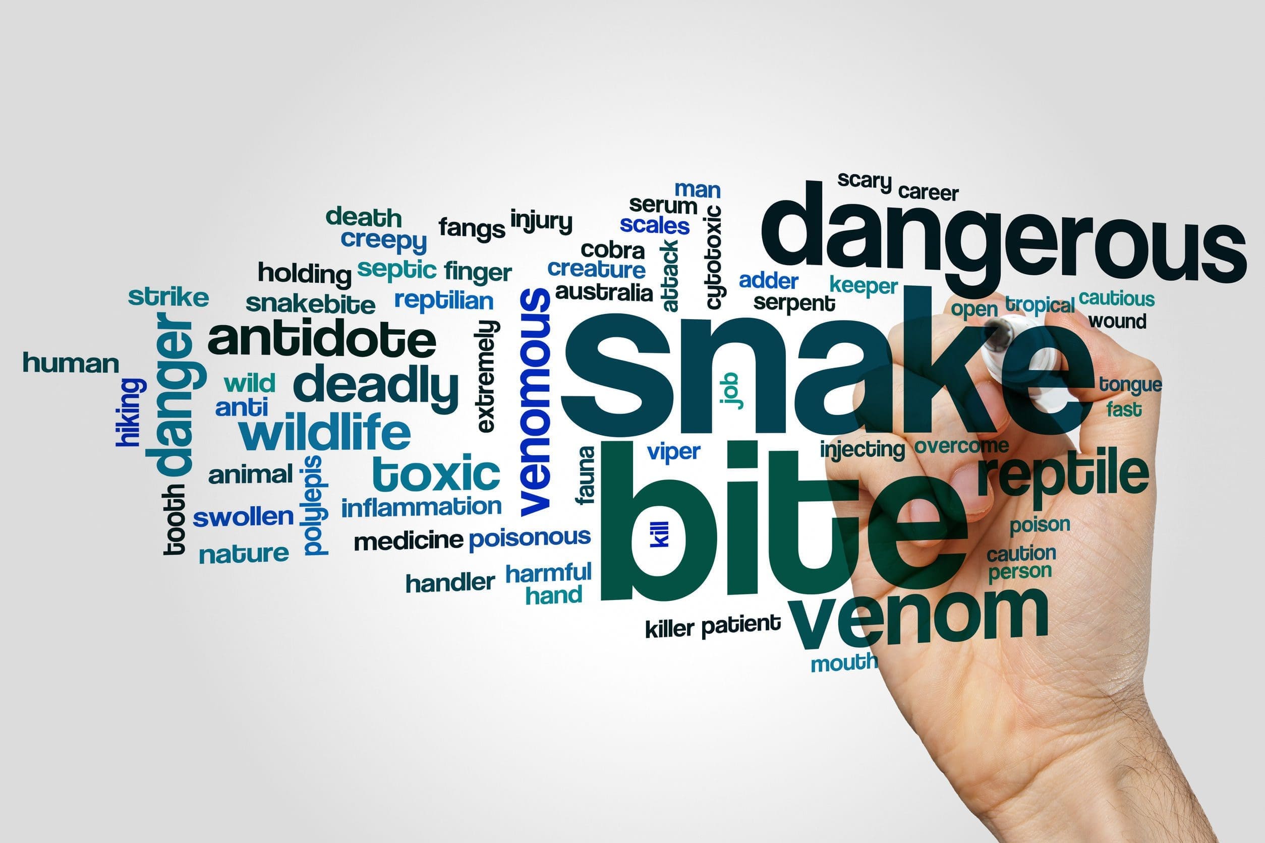 The Reality of Snakebites - Time is Tissue