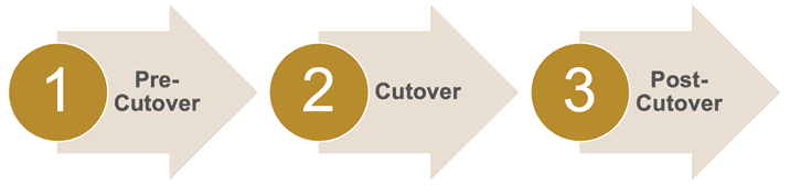 Organize The Cutover Activities Into Phases & Activity Groups