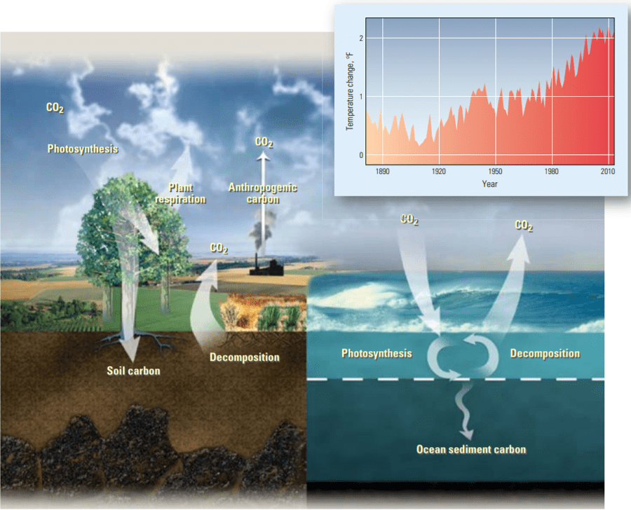 Carbon cycles. Source: Schlumberger