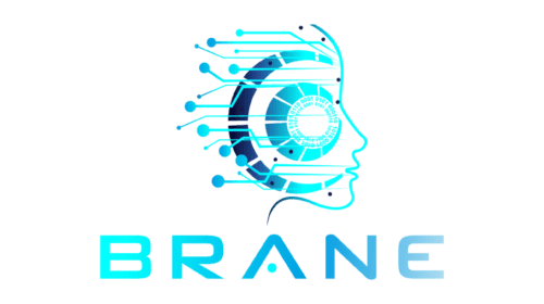 Interview: Paul Carlisle, CEO and Partner of Brane, Inc.