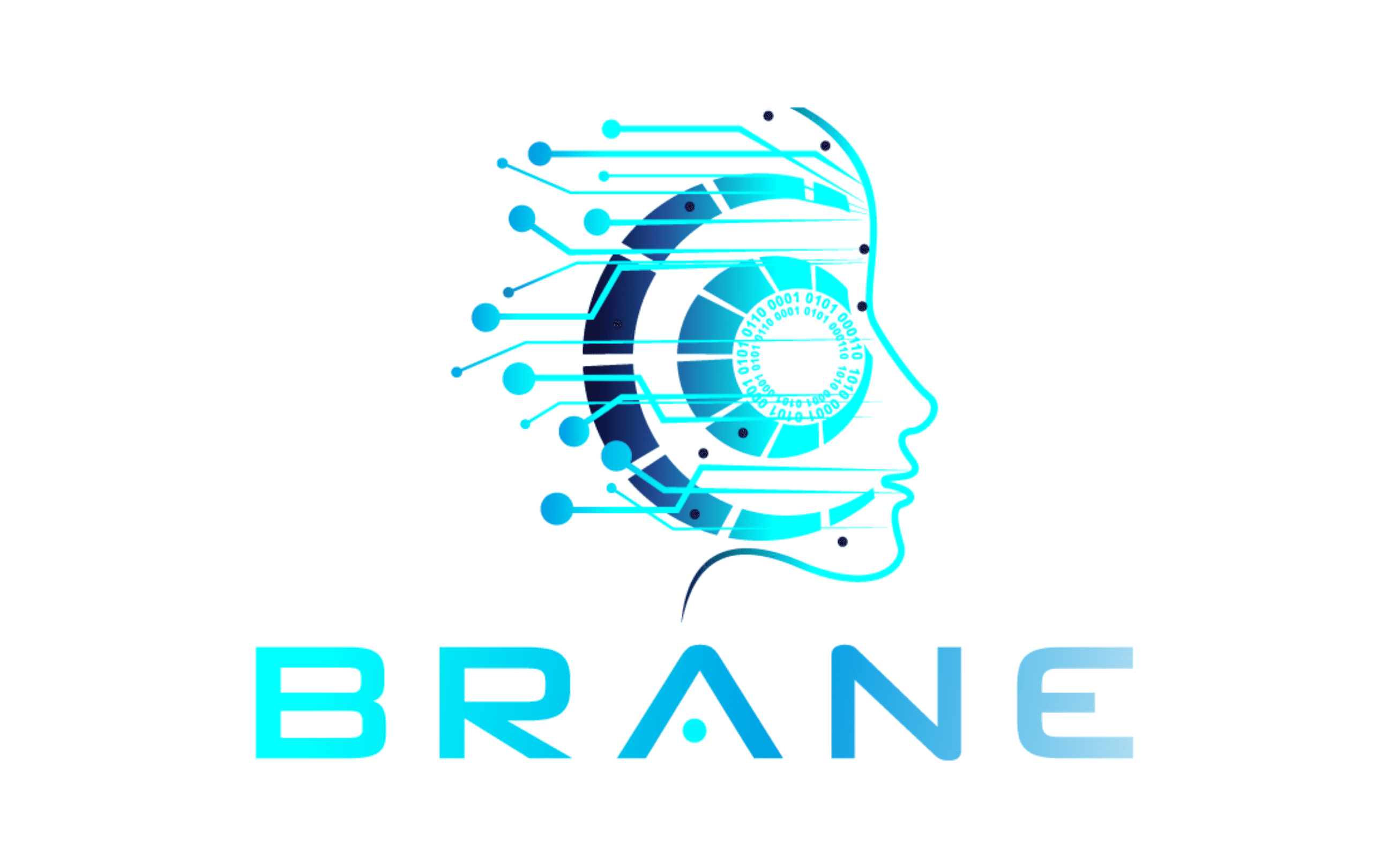Interview: Paul Carlisle, CEO and Partner of Brane, Inc.