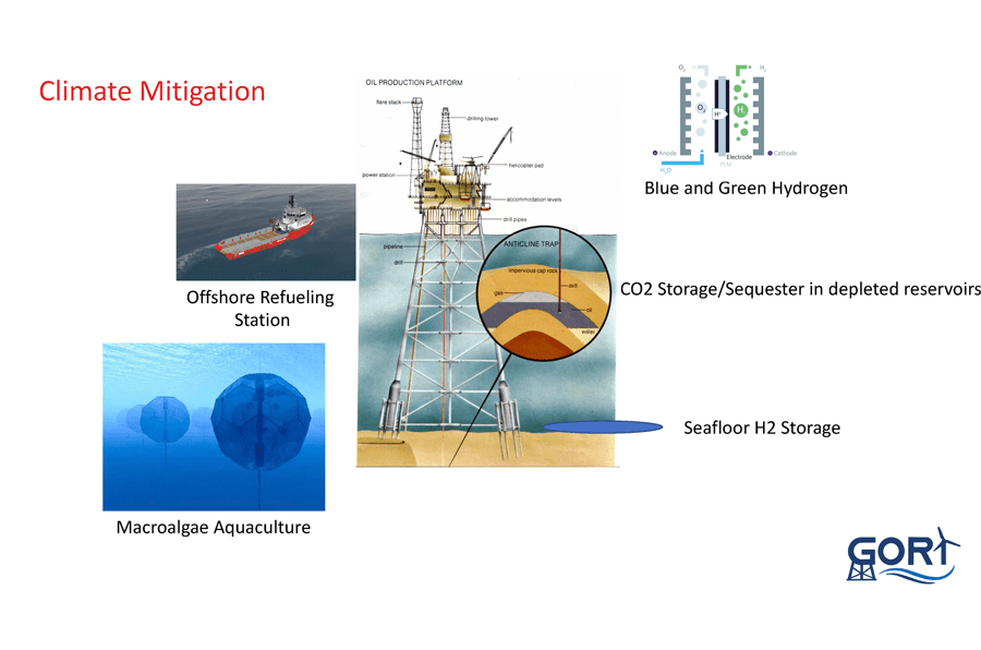 Fishing for a Purpose: Refitting Offshore Platforms to Transform the Planet and the Economy