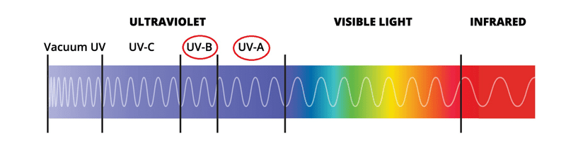 Image 2: Ultraviolet spectra used by the Hawks.