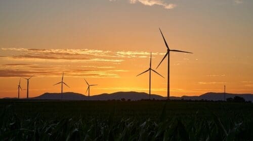 Farmers Voice Opposition Against Renewable Power Transmission Project