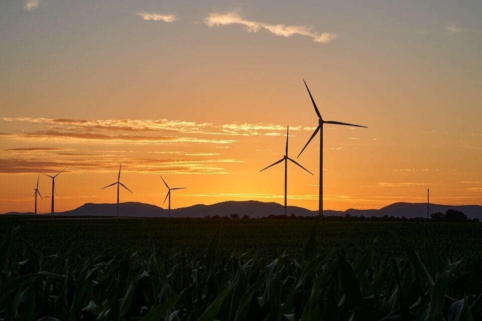 Farmers Voice Opposition Against Renewable Power Transmission Project