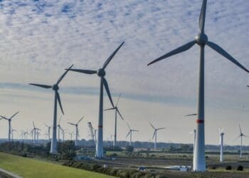 France awards Normandy wind project to TotalEnergies