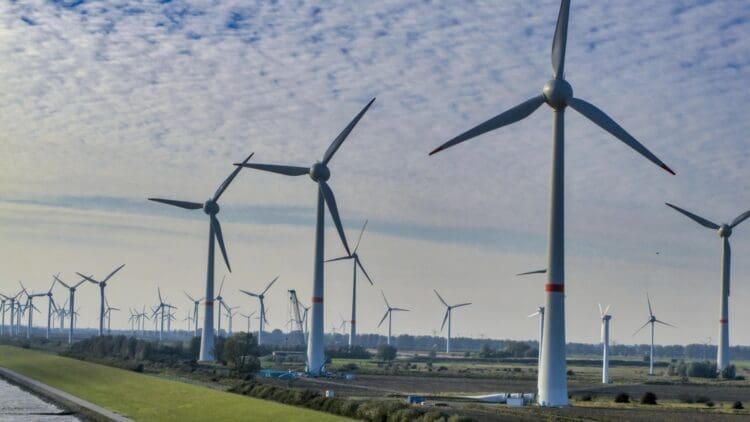 France awards Normandy wind project to TotalEnergies