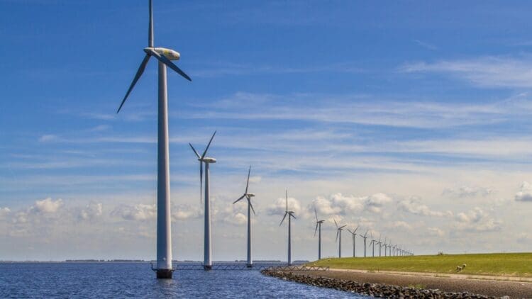 US government targets offshore wind project cancellation