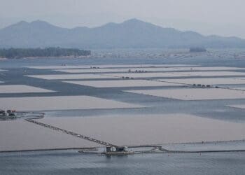 Indonesia initiates construction of floating solar plant