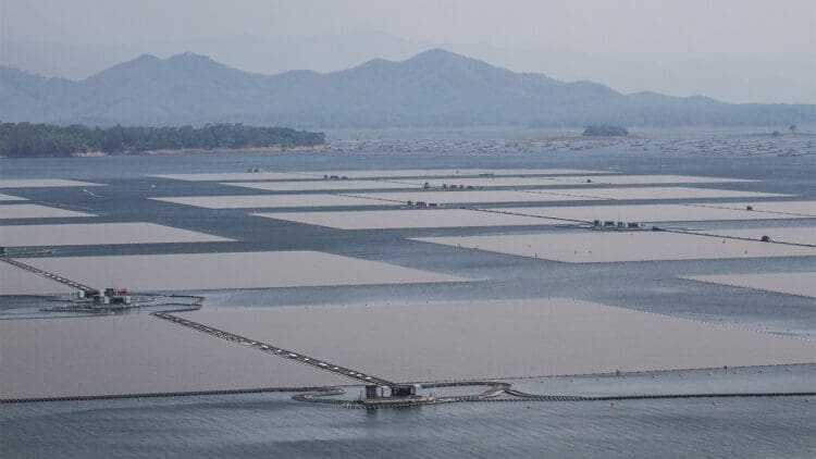 Indonesia initiates construction of floating solar plant
