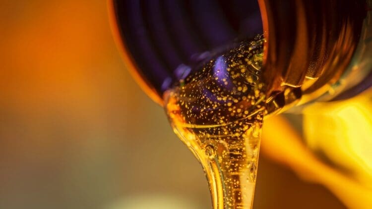 Repsol to expand Sines Industrial Complex