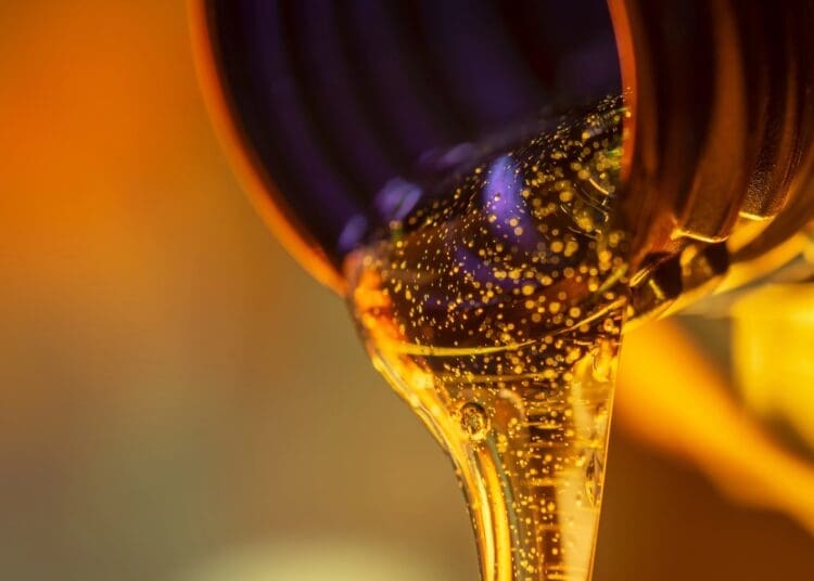 Repsol to expand Sines Industrial Complex