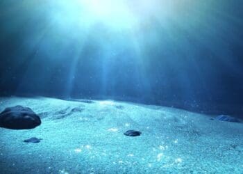 Petronas kicks off major investment drive