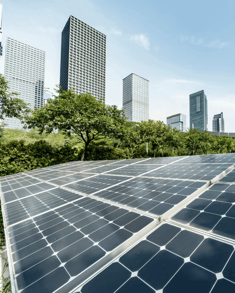 OPITO Prepares the Global Workforce for the Energy Transition with new Sustainability Training Standard 1 Opito