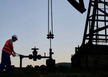 Sea Lion field advances despite pushback