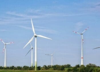 Brazilian wind energy revival to kick off in 2026