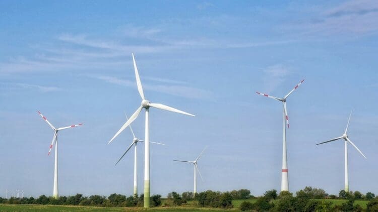 Brazilian wind energy revival to kick off in 2026