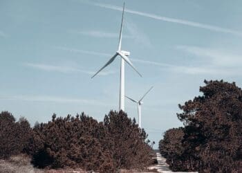 UK's Dogger Bank wind project completes foundations