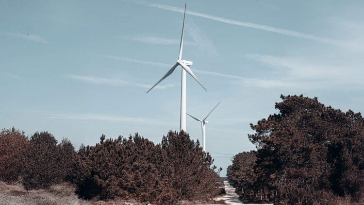 UK's Dogger Bank wind project completes foundations