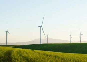 Montenegro wind farm advances this year