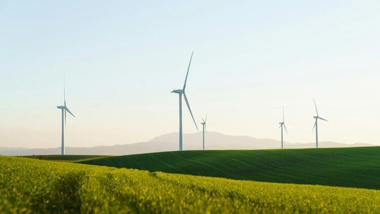 Montenegro wind farm advances this year