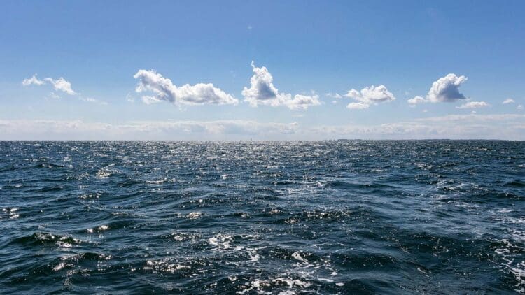 Poland’s 390 MW BC-Wind project secures €600 million in financing for Baltic Sea development 1 Poland secures financing for BC-Wind project