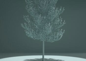 India, renewable energy