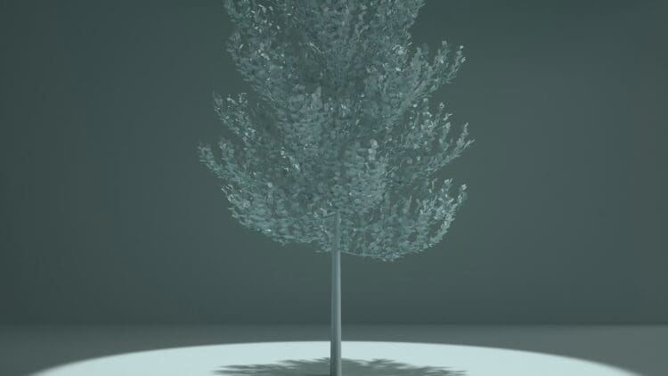 From planting trees to making them solar-powered — India tests 53.6 kW "living" power plant absorbing 12 tons of CO₂ 1 India, renewable energy