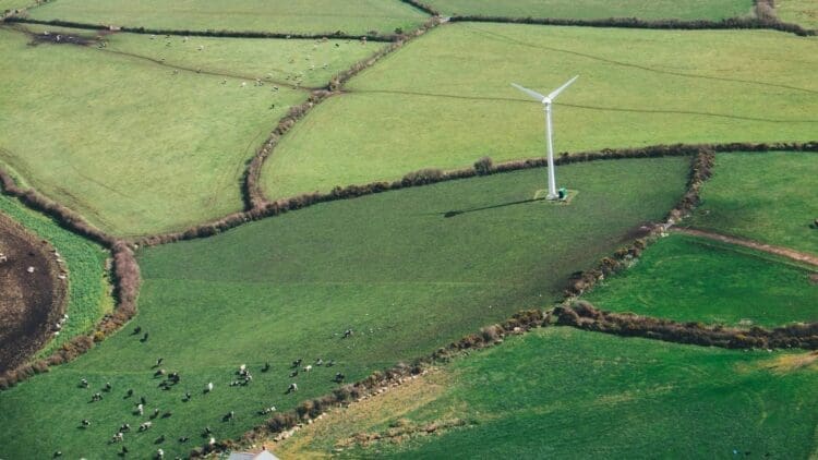 Spain's green hydrogen project breaks ground