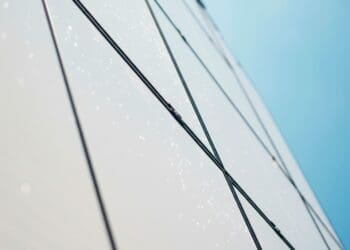 first titanium-selenium cell smashing records