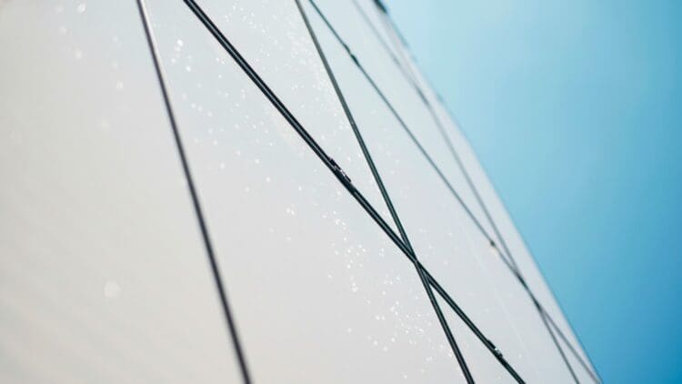 first titanium-selenium cell smashing records