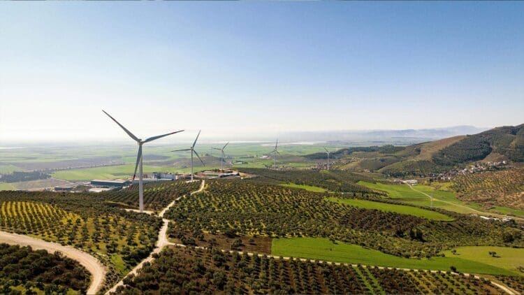 Introducing the upcoming wind farm at Tyligulska