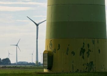 Breakthrough for New Mexico state as the Questa green project finally enters the fray