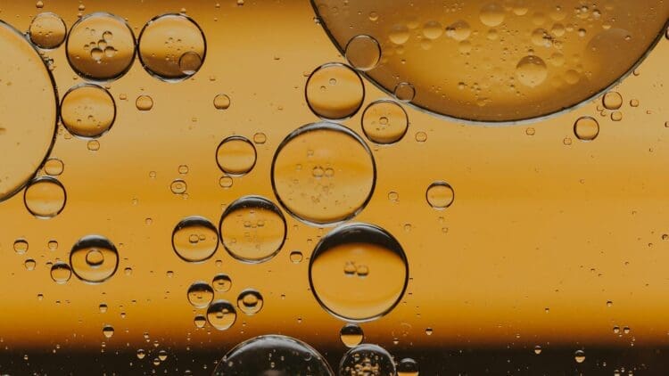 Rockhopper and Navitas take FID on Sea LIon