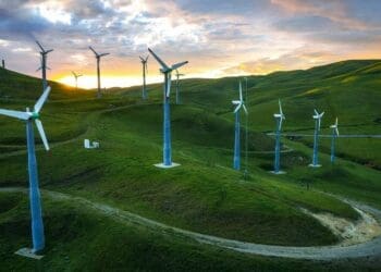 OMV awarded funding for green hydrogen plant