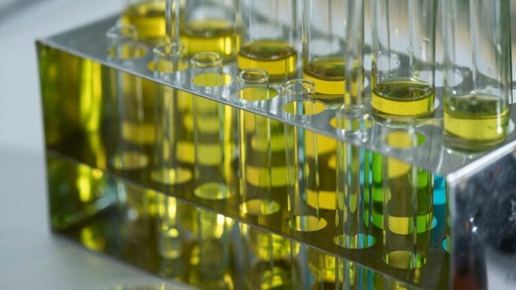 China approves plans for green methanol plant