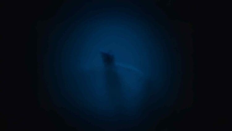 true ghost beneath the sea