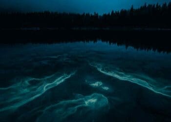 neon-blue lights glowing underwater in Texas