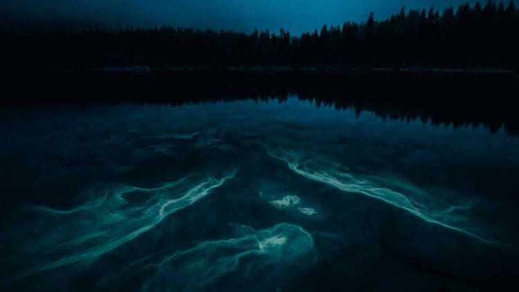 neon-blue lights glowing underwater in Texas