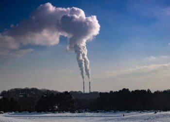 pollution harvester absorbing carbon from air