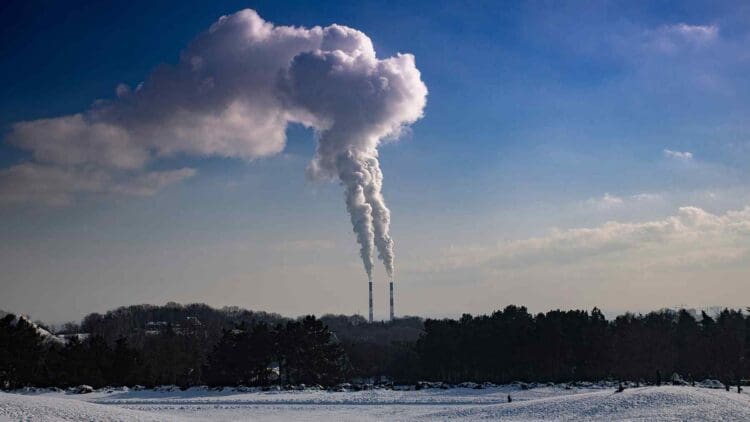 It's a true pollution harvester — It will absorb 1,000,000 tons each year from the heart of America 1 pollution harvester absorbing carbon from air