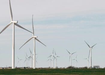 Energiequelle GmbH's initiative reducing carbon emissions in Europe