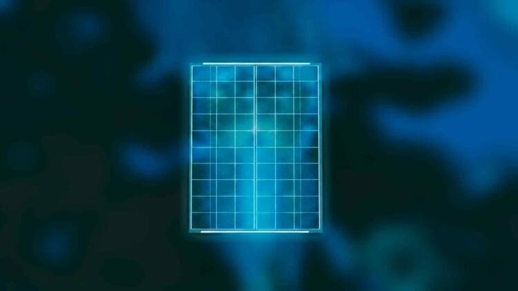 korea unveil first 'squid panel' bizarre effect