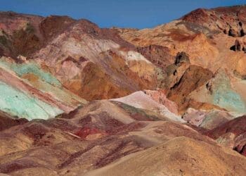 Superbloom phenomenon returns to california