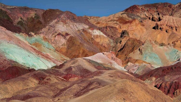 Superbloom phenomenon returns to california