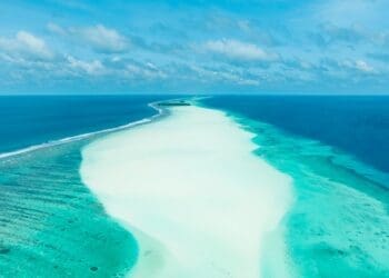 noaa ocean color 82 countries amercan regions