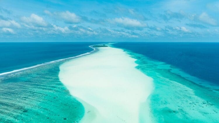 noaa ocean color 82 countries amercan regions